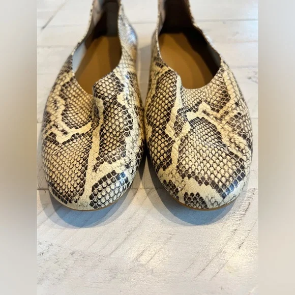 Everlane The Day Glove Snakeskin Patterned Ballet Flats Made in Italy Size 8 - Picture 7 of 10